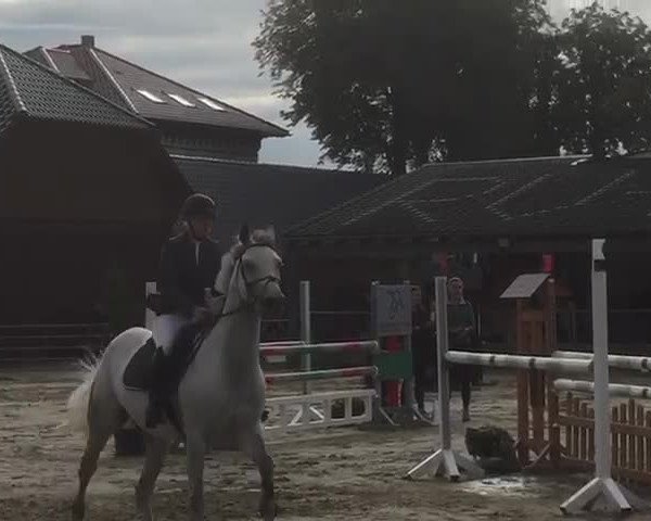 Video von Clein Ida