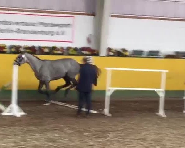 Video of Via Con Me