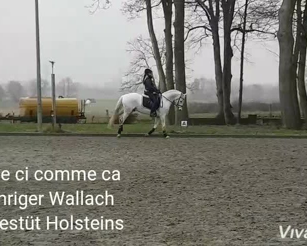 Video of Comme Ci Comme Ca 6