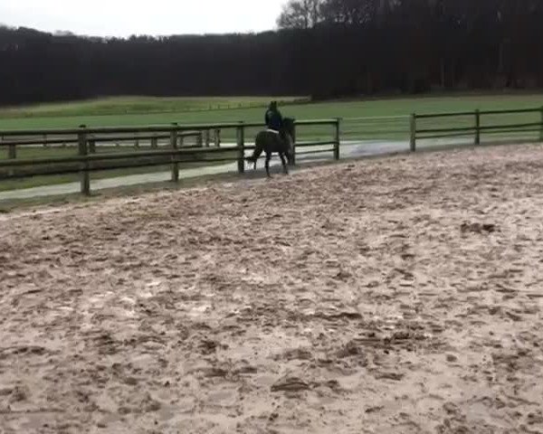 Video von Dimitri DiCaprio