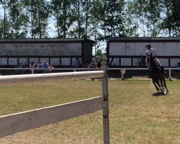 Video von Coco Calida 3