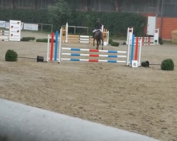 Video von Capilana