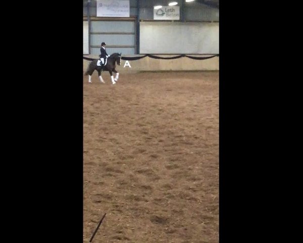 Video of Arvalon Geronimo