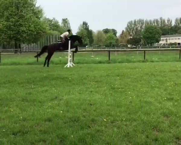 Video of Castor 122