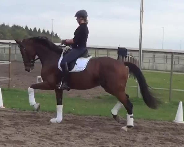 Video von Adéle