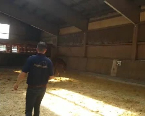 Video of Valleyfair