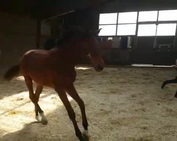 Video of Valleyfair