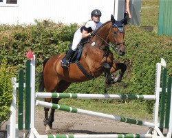 jumper Ra-Jet Set (Swiss Warmblood, 1997, from Jalisco)