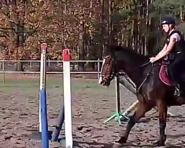 Video von Funtomas M