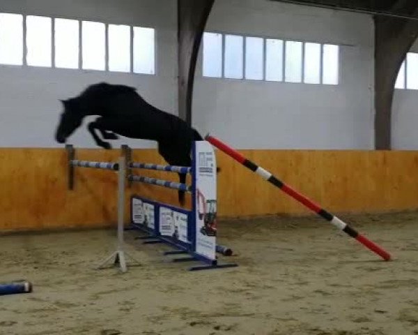 Video von Cassis