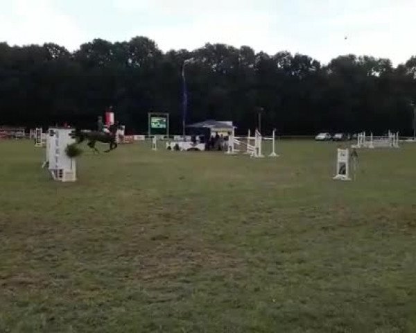 Video of Sir Sergio L