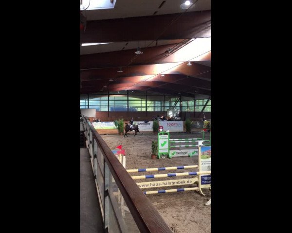 Video von Calvin 106