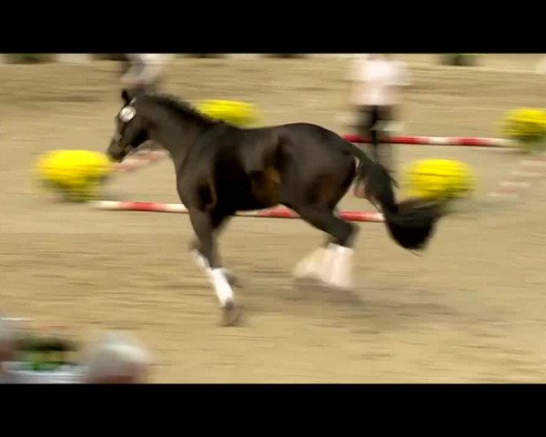 Video of Integer