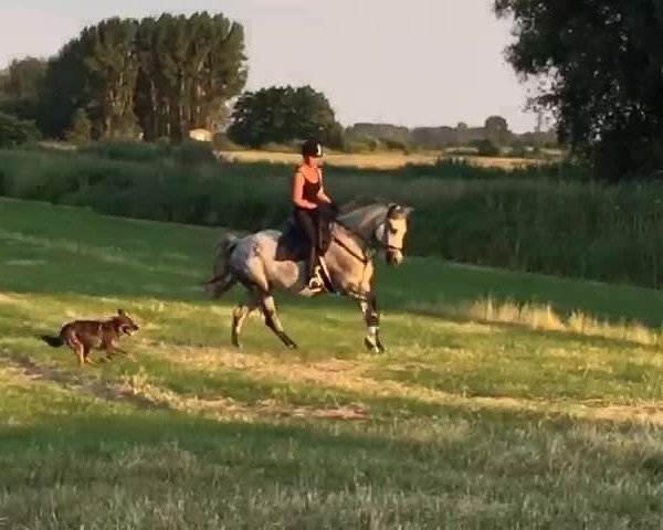 Video von Catena 6