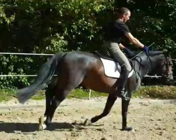 Video of Eclaire