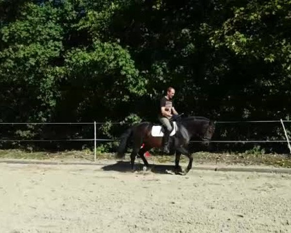 Video von Eclaire