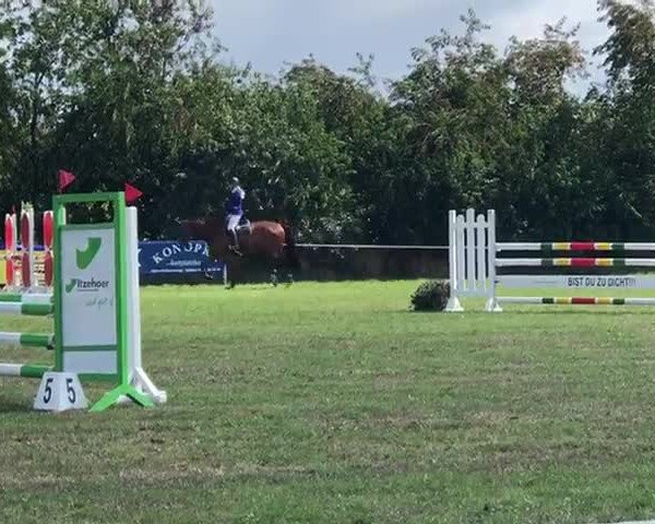 Reitturnier Emkendorf 2018