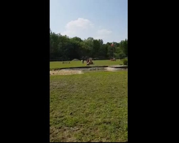 Video of Bella991