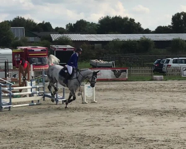 Reitturnier Schülp / Rendsburg 2018