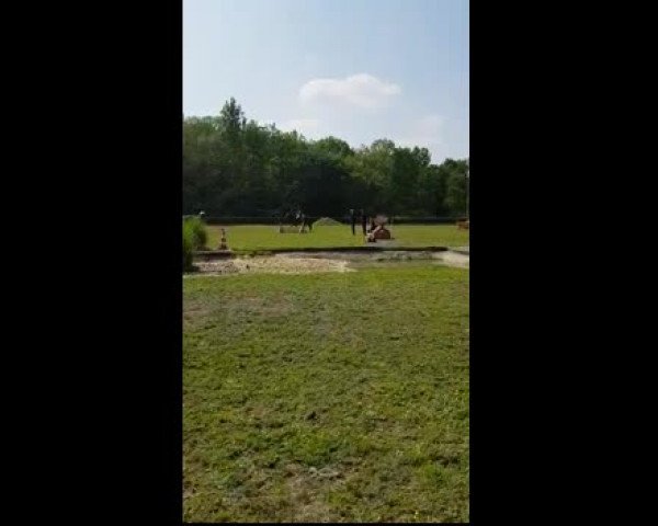 Video of Bella991