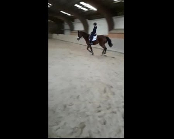 Video von Chester