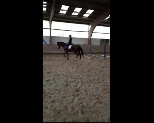 Video von Chester