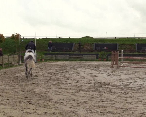 Reitturnier Schülp / Rendsburg 2021