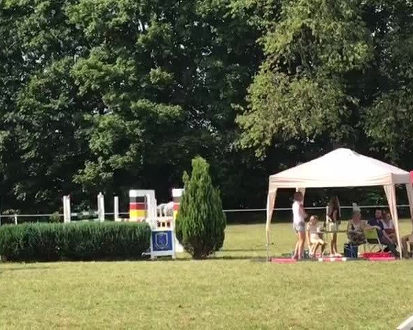 Video of TH Mary