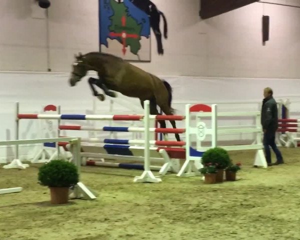Video of Lintero 3