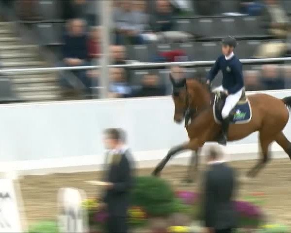 Video de Chilano Blue