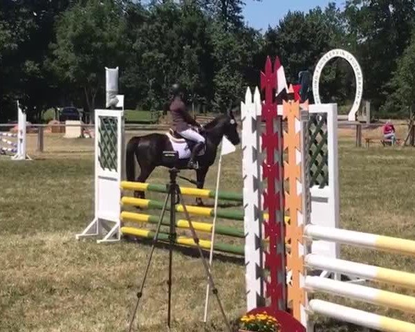 Video of D' Artagnan 6
