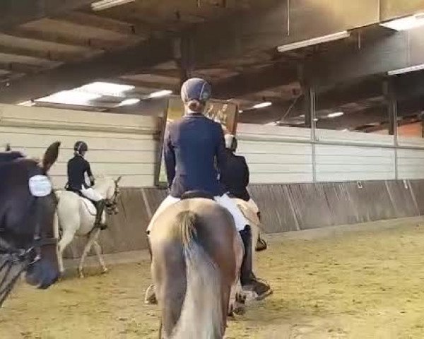 Video von Jelmar 4