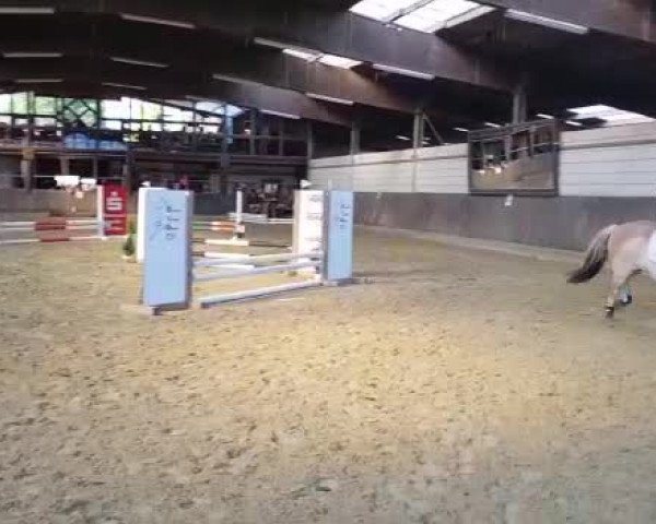 Video von Jelmar 4