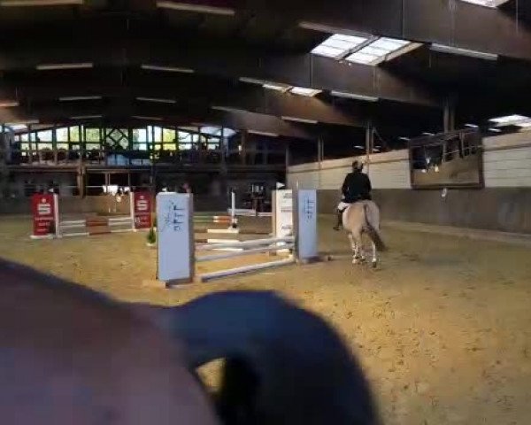 Video von Jelmar 4