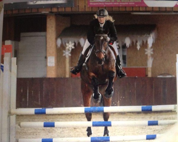 jumper Charly Brown 92 (Holsteiner, 1994, from Calando I)