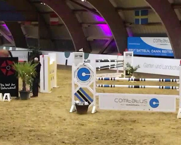 Video of Cranford