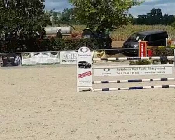 Video von Cristiano W