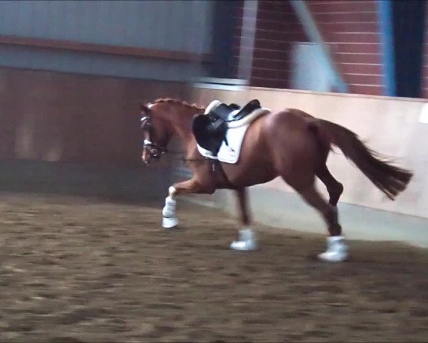Video of Solodancer 3