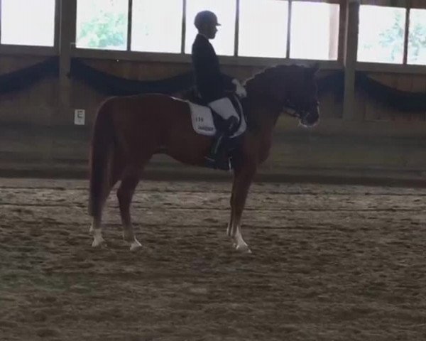 Video von Especially for you 2