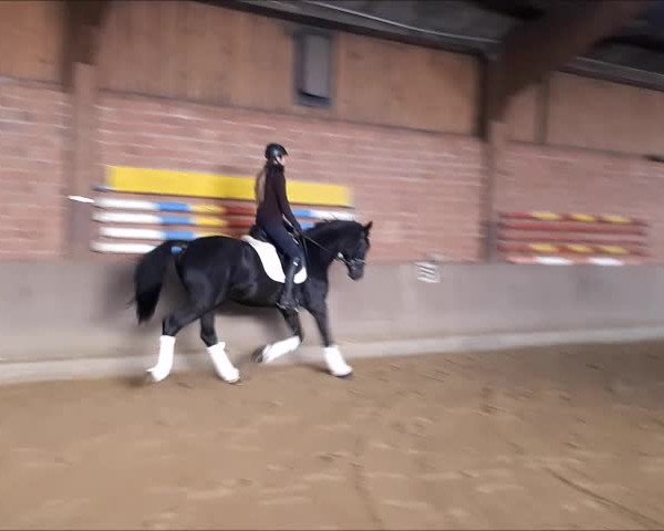 Video di Ballentine S