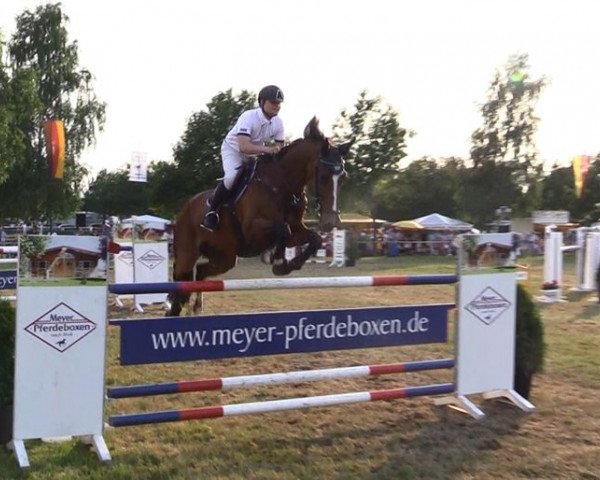 jumper Urcolando (KWPN (Royal Dutch Sporthorse), 2001, from Ircolando)