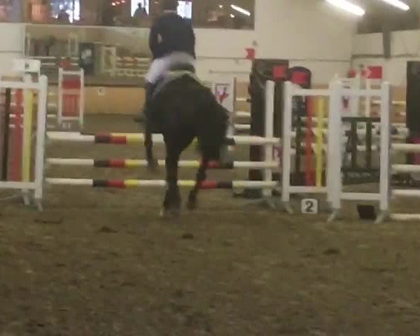 Video of Diarella Mw
