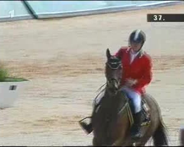 Video of Havinia