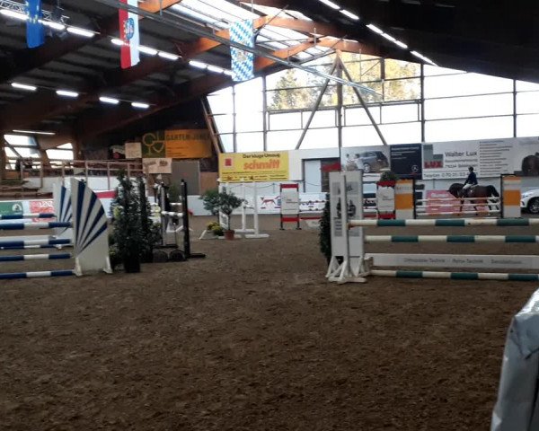 Video von Samson 529
