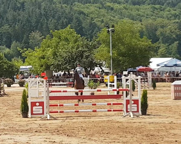 Reitturnier Obernburg 2018
