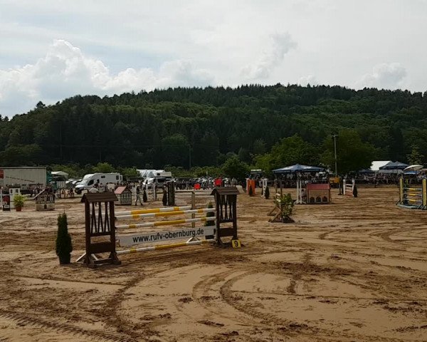 Reitturnier Obernburg 2018