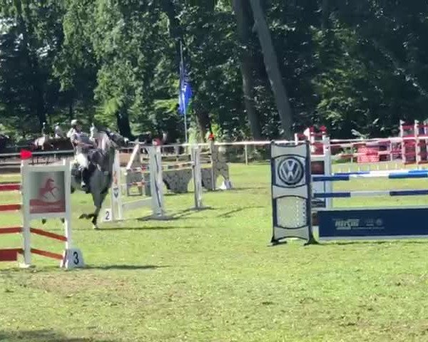 Reitturnier Knesebeck 2018