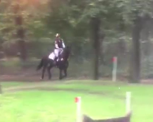 Bundeschampionate 2018