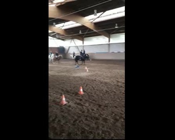 Video of Max