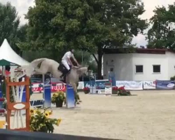 Reitturnier Ingolstadt-Hagau 2018
